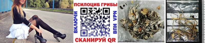 Купить  Елабуга  Галлюциногенные грибы ЛСД 